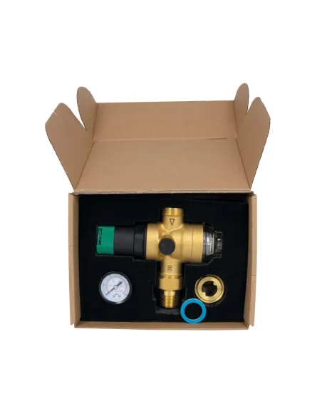 Самопромывной фильтр Thermo Alliance Forte SF128W20 3/4 дюйма с редуктором и манометром, для холодной воды