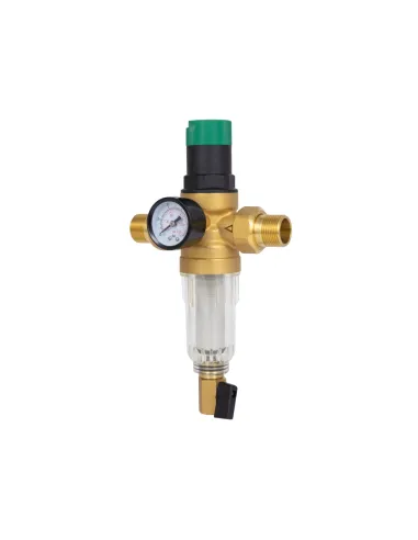 Самопромывной фильтр Thermo Alliance Forte SF128W20C 3/4 дюйма с редуктором и манометром, для холодной воды