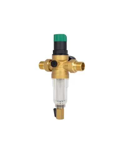 Самопромивний фільтр Thermo Alliance Forte SF128W20C 3/4 дюйма з редуктором та манометром, для холодної води