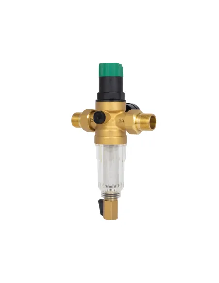 Самопромывной фильтр Thermo Alliance Forte SF128W20C 3/4 дюйма с редуктором и манометром, для холодной воды