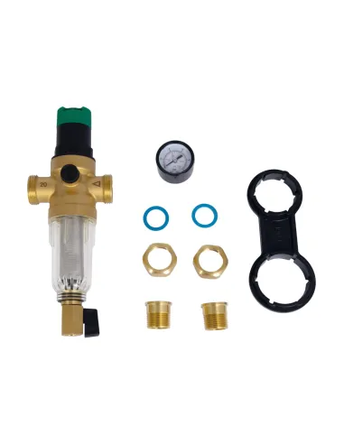 Самопромывной фильтр Thermo Alliance Forte SF128W20C 3/4 дюйма с редуктором и манометром, для холодной воды