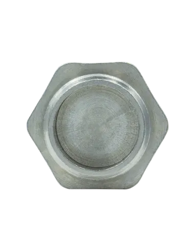 Заглушка Raftec ZN01 1/2 дюйми, РЗ, DN15, під пломбу, нікелева