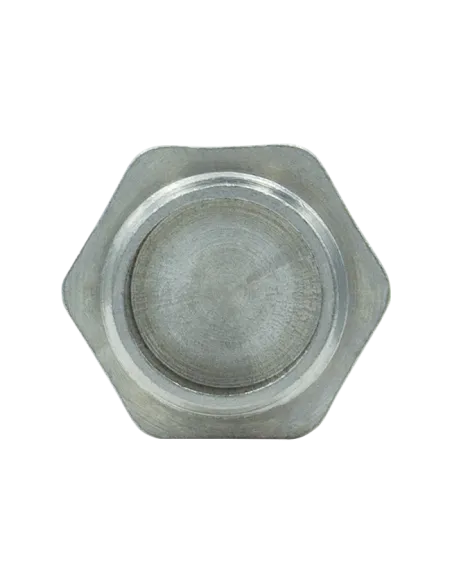 Заглушка Raftec ZN01 1/2 дюйми, РЗ, DN15, під пломбу, нікелева