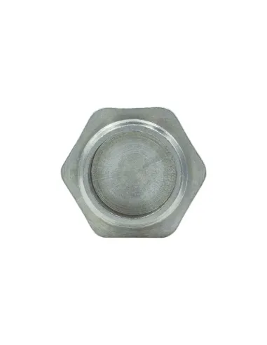 Заглушка Raftec ZN03 1 дюйм, РЗ, DN25, під пломбу, нікельова
