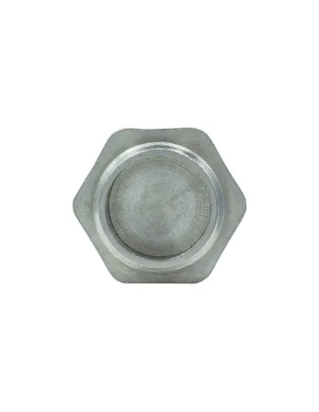 Заглушка Raftec ZN03 1 дюйм, РЗ, DN25, під пломбу, нікельова