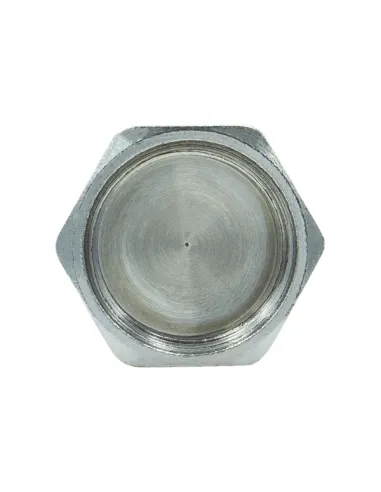 Заглушка Raftec ZV05 1 1/2 дюйми, РВ, DN40, під пломбу, нікелева