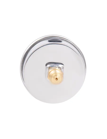 Торцевой манометр Thermo Alliance Forte TAF171G10B 10 Бар, жидконаполненный