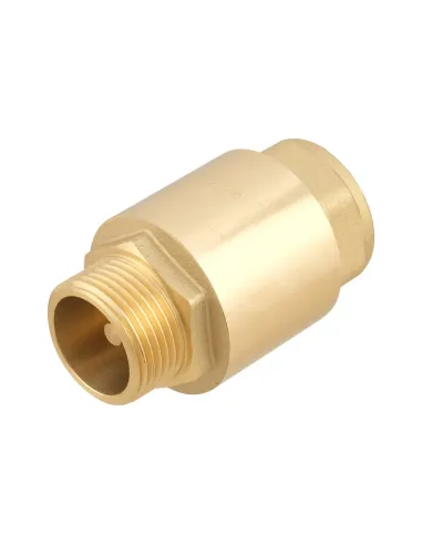 Обратный клапан Raftec NRVM03 1 дюйм, ВН, латунный шток