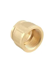 Муфта Raftec Gold DN25х20 ВВ, 1х3/4 дюйми, латунна