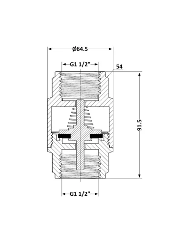 Обратный клапан Thermo Alliance Forte TAF240W40 1 1/2 дюйма, подрывной
