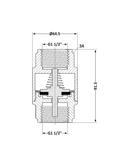 Обратный клапан Thermo Alliance Forte TAF240W40 1 1/2 дюйма, подрывной