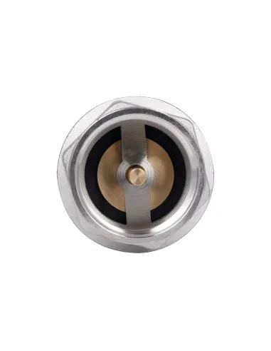 Зворотний клапан Thermo Alliance Forte TAF240W40 1 1/2 дюйми, підривний