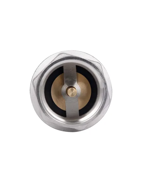 Зворотний клапан Thermo Alliance Forte TAF240W40 1 1/2 дюйми, підривний