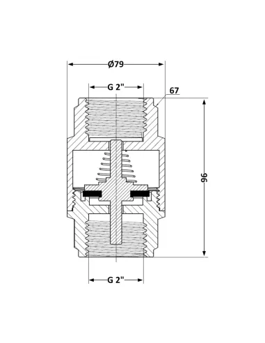 Зворотний клапан Thermo Alliance Forte TAF240W50 2 дюйми, підривний