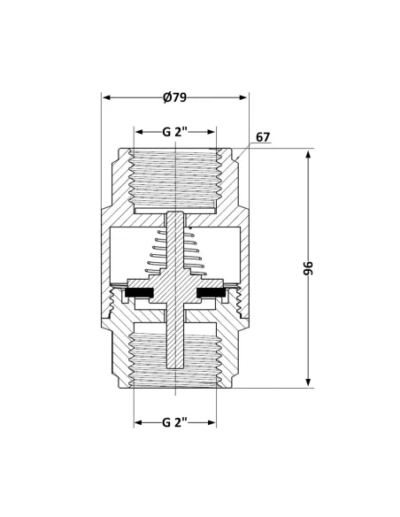 Обратный клапан Thermo Alliance Forte TAF240W50 2 дюйма, подрывной
