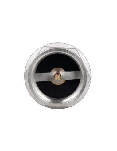 Зворотний клапан Thermo Alliance Forte TAF240W50 2 дюйми, підривний