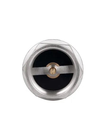 Обратный клапан Thermo Alliance Forte TAF240W50 2 дюйма, подрывной