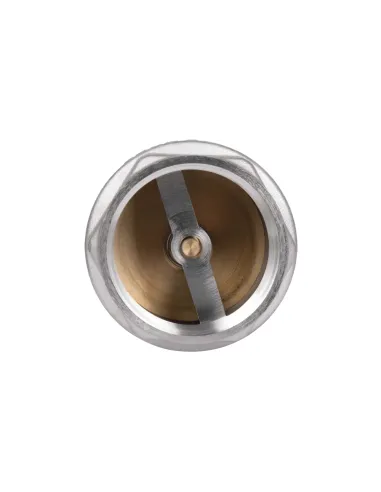 Обратный клапан Thermo Alliance Forte TAF240W50 2 дюйма, подрывной