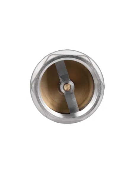 Зворотний клапан Thermo Alliance Forte TAF240W50 2 дюйми, підривний