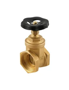 Заслонка вентильна пряма Raftec DGRB6 ВВ 2 дюйми