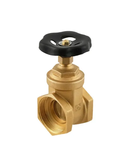 Заслонка вентильная прямая Raftec DGRB6 ВВ 2 дюйма