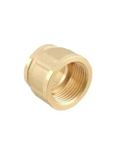 Муфта Raftec Gold DN25х20 ВВ, 1х3/4 дюйми, латунна