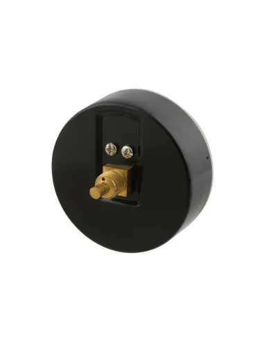 Термоманометр Raftec 80 мм, 1/2 дюйми, заднє підключення