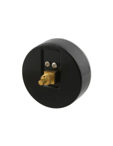 Термоманометр Raftec 80 мм, 1/2 дюйми, заднє підключення