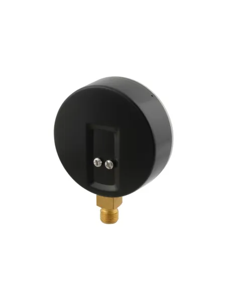 Термоманометр Raftec 80 мм, 1/2 дюйма, нижнее подключение