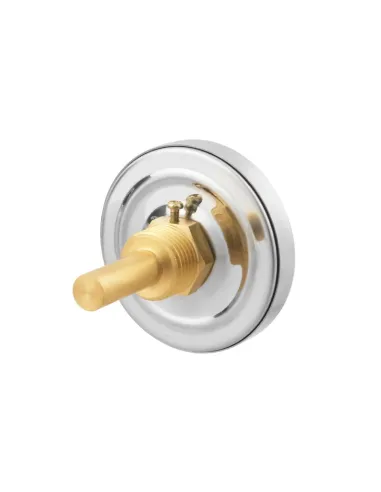 Термометр Raftec 100 мм, 1/2 дюйми, заднє підключення