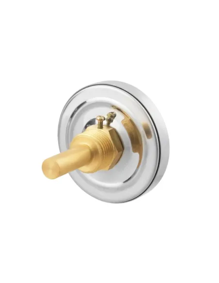 Термометр Raftec 100 мм, 1/2 дюйма, заднее подключение