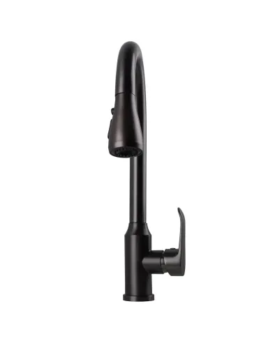 Смеситель для кухни Ecomix Stella STL-2031-GP нержавеющая сталь, с душевой насадкой