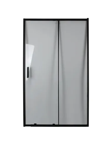 Двері для душової кабіни Bravo Parseta 110TB, 6 мм