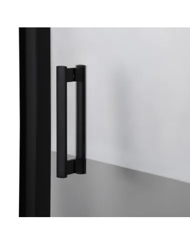 Двері для душової кабіни Bravo Parseta 110TB, 6 мм