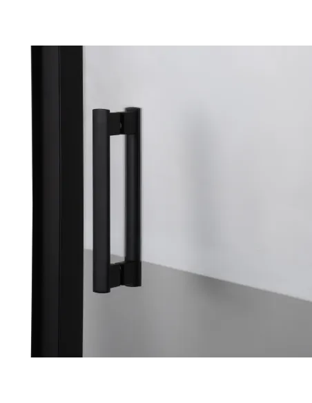 Двері для душової кабіни Bravo Parseta 110TB, 6 мм