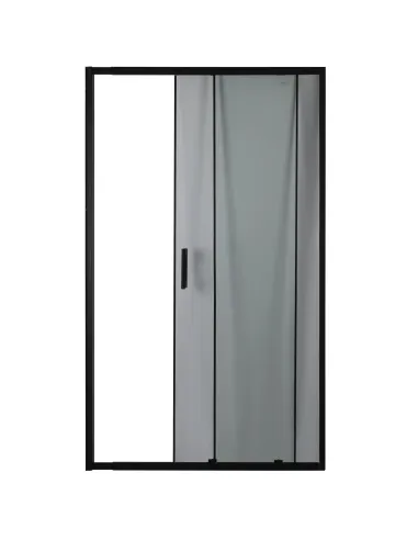 Двері для душової кабіни Bravo Parseta 110TB, 6 мм