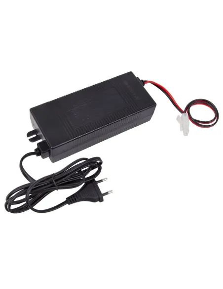 Блок питания ITAL FDYR-4A-O для помпы 300 галлон