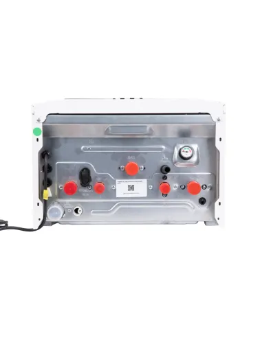 Котел газовый навесной Thermo Alliance Ewa System 24 кВт, одноконтурный, конденсационный