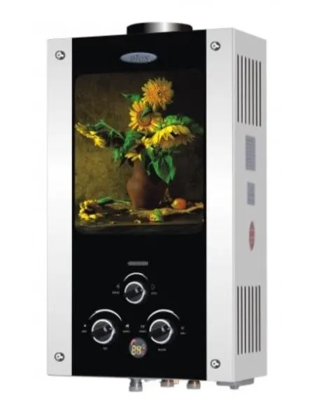 Колонка газова Діон JSD 10 малюнок соняшник, дисплей, димохідна - 2