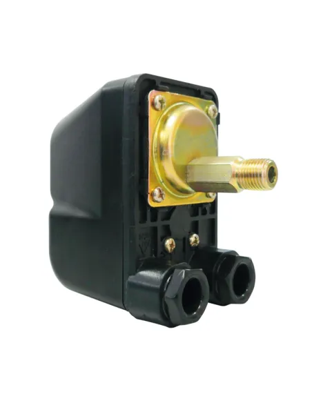 Механічні реле тиску для насосів Rudes PS-II-15B - 1