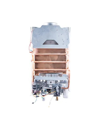 Колонка газовая Thermo Alliance JSD20-10N-QB, 10 л, дымоходная - 4