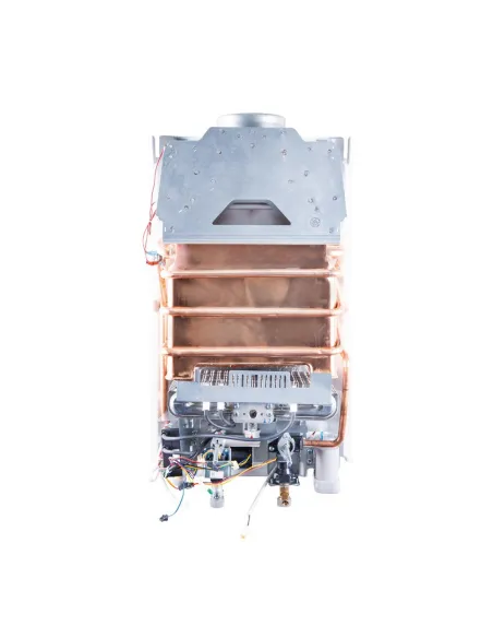 Колонка газовая Thermo Alliance JSD20-10N-QB, 10 л, дымоходная - 4