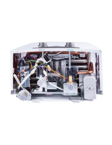 Колонка газовая Thermo Alliance JSD20-10N-QB, 10 л, дымоходная - 5