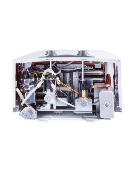 Колонка газовая Thermo Alliance JSD20-10N-QB, 10 л, дымоходная - 5