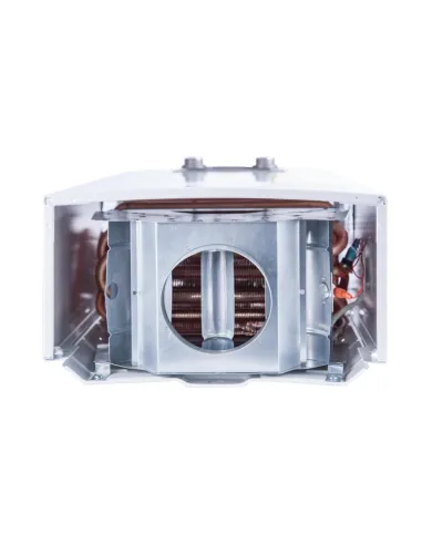 Колонка газовая Thermo Alliance JSD20-10N-QB, 10 л, дымоходная - 6