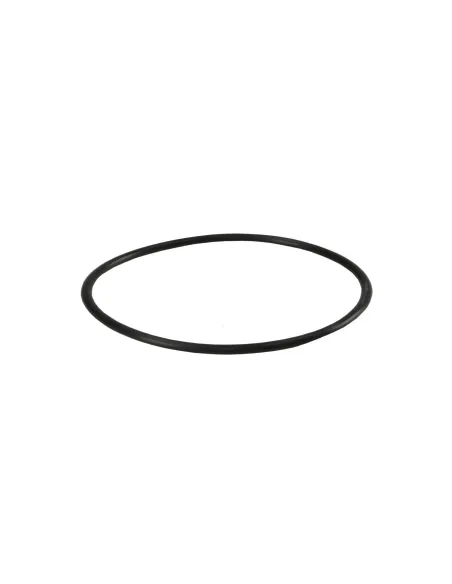 Кільце ущільнювача Aquafilter OR-N-900X35 (нижнє, для корпусів H10A, H10B, H10B-AB, H10C, H10D, H10K, H105) - 1