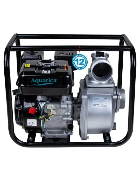 Мотопомпа Aquatica 772532 5 кВт - 2