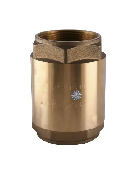 Обратный клапан с латунным штоком Solomon 6026 1 1/4 дюйма Europa - 1