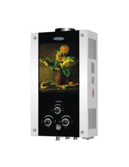 Колонка газова Діон JSD 10 малюнок соняшник, дисплей, димохідна - 1