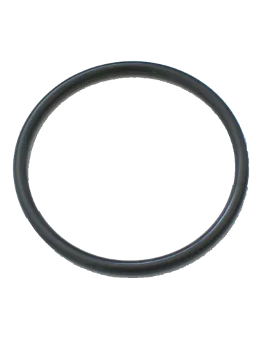 Уплотнительное кольцо Raifil BFH 1 для фильтров мешочного типа - 1